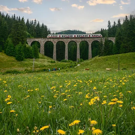 Modry Dom - Telgárt