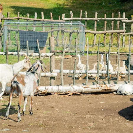 Modry Dom - Nyaraló