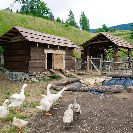 Modry Dom -
